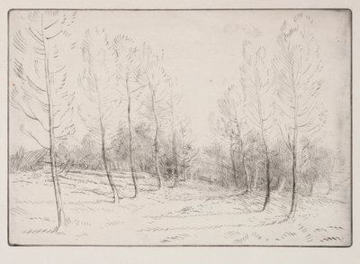 Avenida dos Choupos de Alphonse Legros