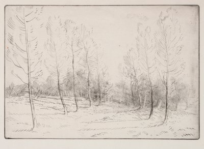 Avenida dos álamos. de Alphonse Legros