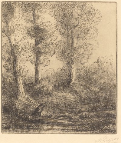 Margens do Saint-Pre (Rive du Saint-Pre) de Alphonse Legros