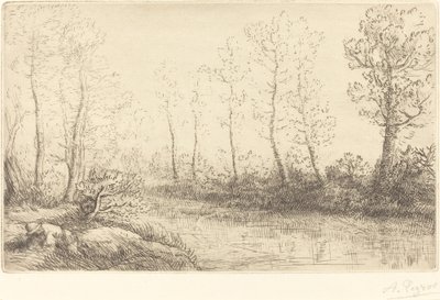 Bétulas: beira da água vista na luz da manhã de Alphonse Legros