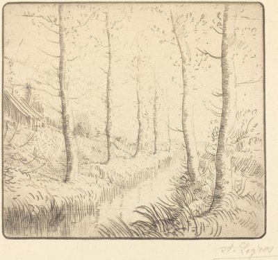 Bétulas ao longo da água de Alphonse Legros