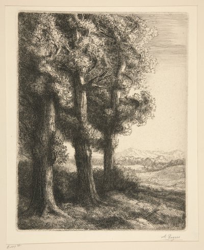 Um recanto de um bosque de Alphonse Legros