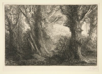 Dans la foret de Conteville (Na Floresta de Conteville) de Alphonse Legros