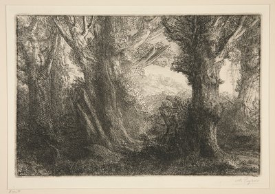 Dans la foret de Conteville (Na Floresta de Conteville0 de Alphonse Legros