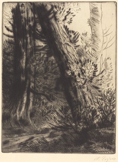 Borda de um riacho (Bord de ruisseau) de Alphonse Legros