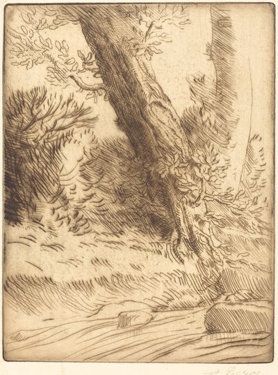 Borda de um riacho (Bord de ruisseau) de Alphonse Legros