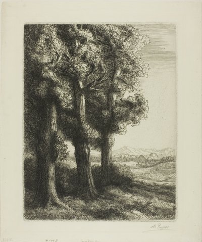 Borda de uma madeira de Alphonse Legros
