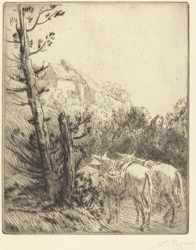 Fazenda na encosta de Alphonse Legros