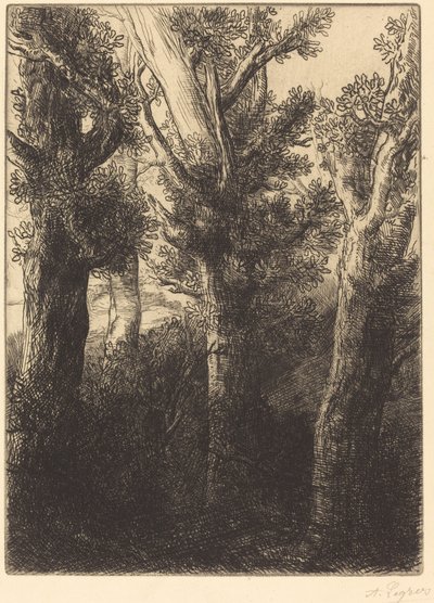 Floresta Alemã, Downley de Alphonse Legros