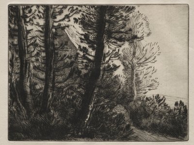 Casa de guarda. de Alphonse Legros