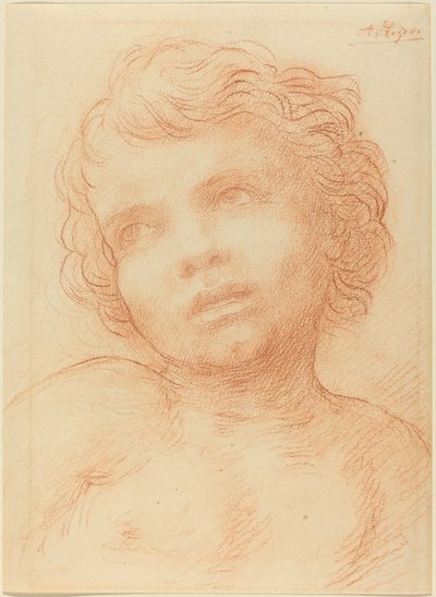 Cabeça de uma criança. de Alphonse Legros