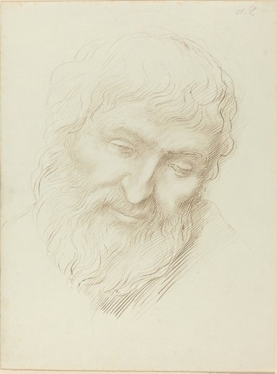 Cabeça de um homem de Alphonse Legros