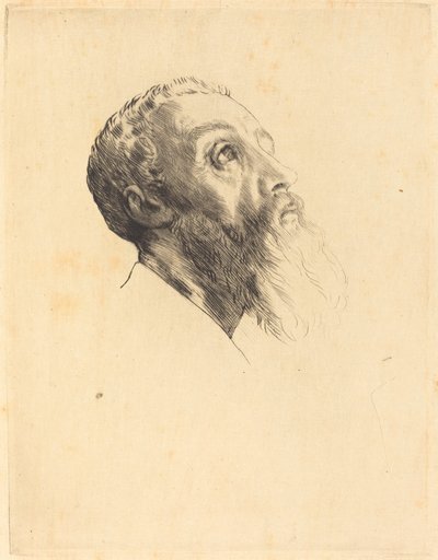 Cabeça de um modelo Cabeça de um modelo. de Alphonse Legros