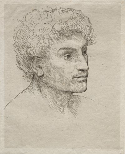 Cabeça de um jovem de Alphonse Legros