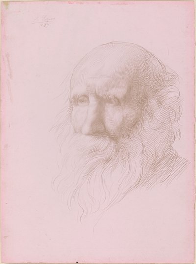 Cabeça de um velho, 1897. de Alphonse Legros