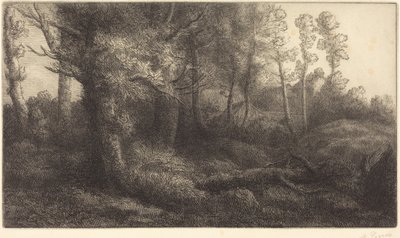  de Alphonse Legros