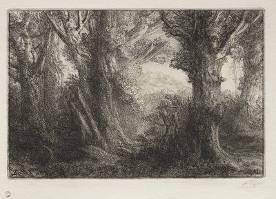 Na floresta em Conteville de Alphonse Legros