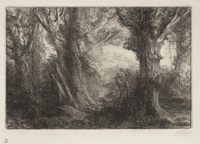 Na floresta em Conteville. de Alphonse Legros