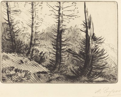 Nos Pirenéus Dans les Pyrenees. de Alphonse Legros