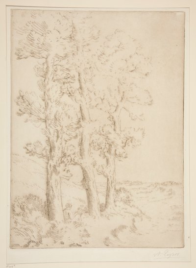 La liseuse: La lecture sous les arbres (Leitura da Mulher: Lição sob as Árvores) de Alphonse Legros