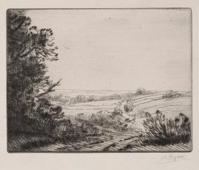 Panorama. de Alphonse Legros