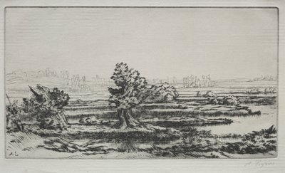 Panorama. de Alphonse Legros