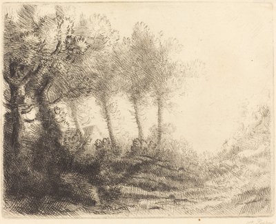 Paisagem Paisagem. de Alphonse Legros