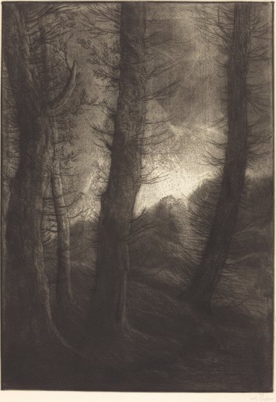 Grandes árvores vistas contra o sol Grandes árvores: efeito vespertino. de Alphonse Legros
