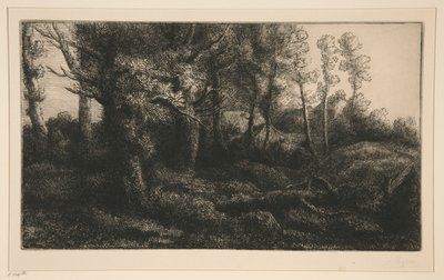 Lisiere de Foret (Bordo da Floresta) de Alphonse Legros