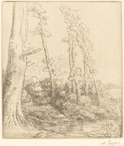 Little Pond La petite égua. de Alphonse Legros