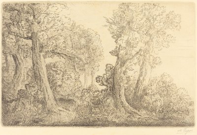 Perto do Bosque, Veronne Perto do Bosque, Veronne. de Alphonse Legros