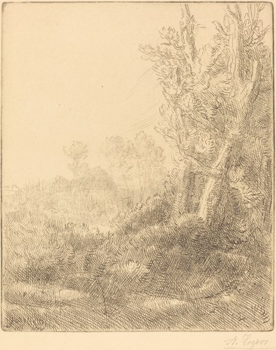 Vila Velha Cidade Velha. de Alphonse Legros
