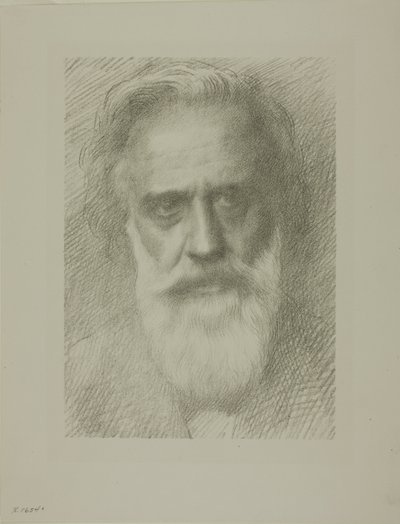 Retrato do Artista, oitava placa de Alphonse Legros