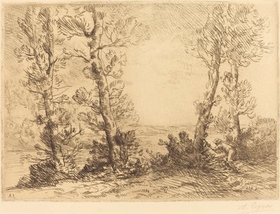 Pescador de Salmão de Alphonse Legros
