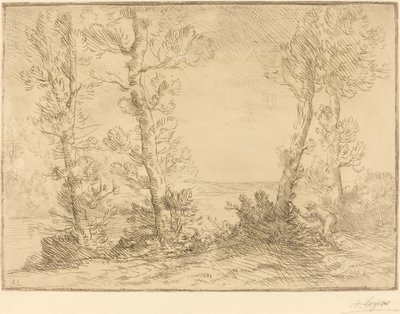 Pescador de Salmão O pescador de salmão. de Alphonse Legros