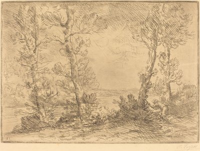 Pescador de Salmão O pescador de salmão. de Alphonse Legros