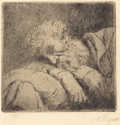 Mendigo Adormecido de Alphonse Legros
