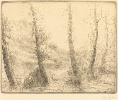 Pequeno lago de Alphonse Legros