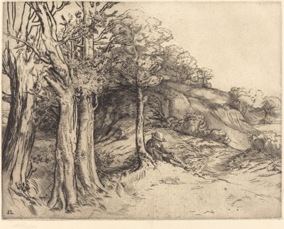 Solidão (Solidão (Paisagem)) de Alphonse Legros