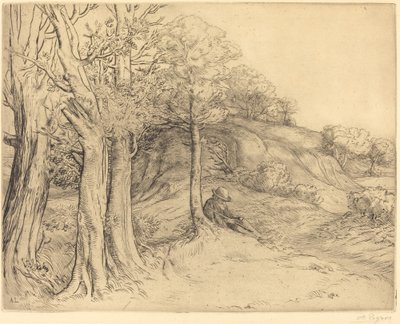 Solidão Solidão Paisagem. de Alphonse Legros