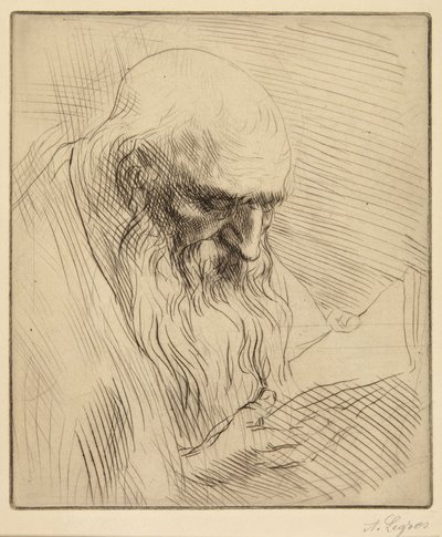 Estudo de um homem idoso a ler de Alphonse Legros