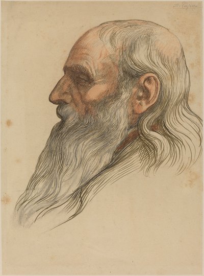 Estudo da cabeça de um homem com barba cheia. de Alphonse Legros