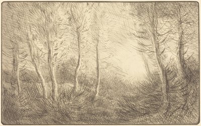 Nascer do sol, bosques de Clamard de Alphonse Legros