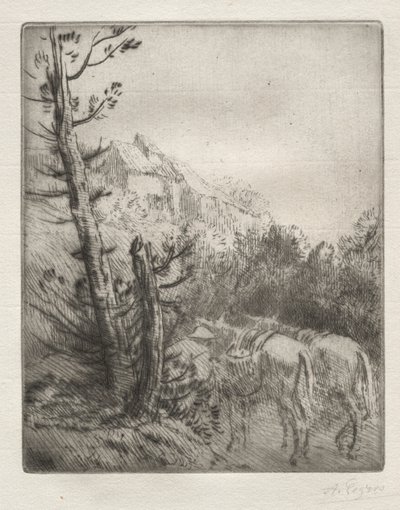 A Fazenda do Morro de Alphonse Legros