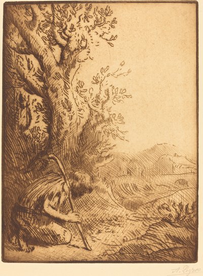 Floresta. de Alphonse Legros