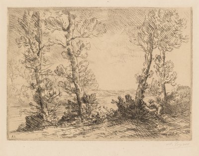 O Pescador de Salmão de Alphonse Legros