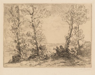 O pescador de salmão O pescador de salmão, c. 1880. de Alphonse Legros