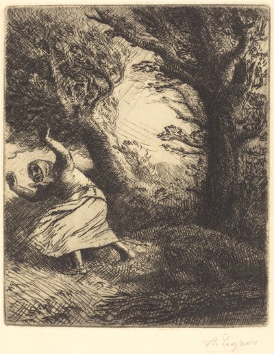 Trovão Um raio. de Alphonse Legros