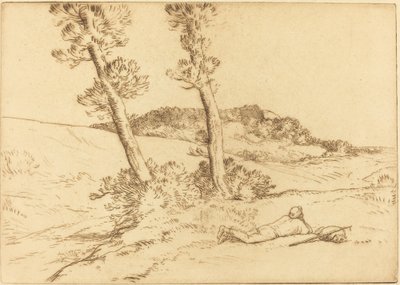 Viajante reclinado na grama O viajante reclinado na grama. de Alphonse Legros