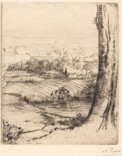Vista de juncos de moeda vermelha. de Alphonse Legros